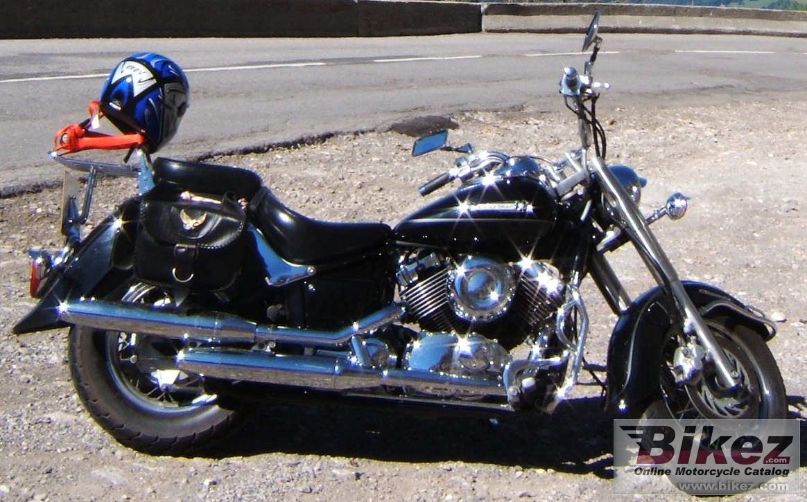 Big Ray Ryan xvs 650 a drag star classic picture and wallpaper from Bikez.com